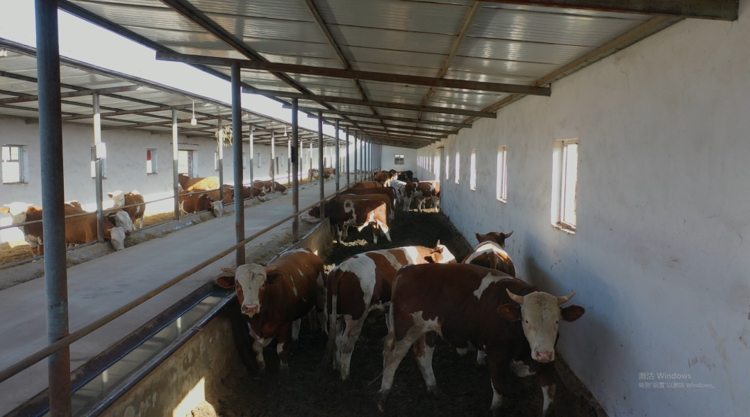 易游娱乐城- YY易游体育官方网站- 易游体育APP动物养殖可以学什么？畜牧学同等学力硕士在职课程来了！